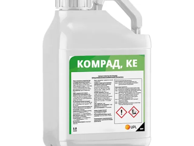 КОМРАД К.Е.