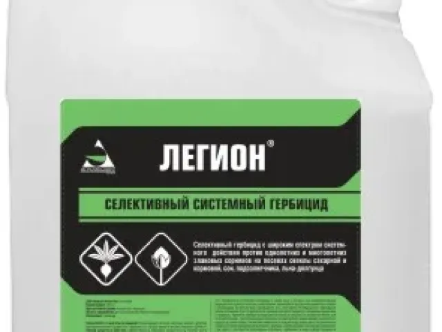 Легион