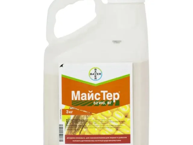МайсТер 62WG