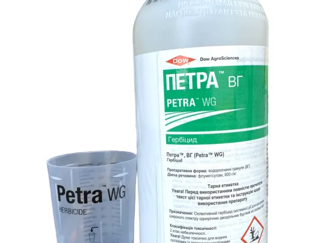 Петра, ВГ