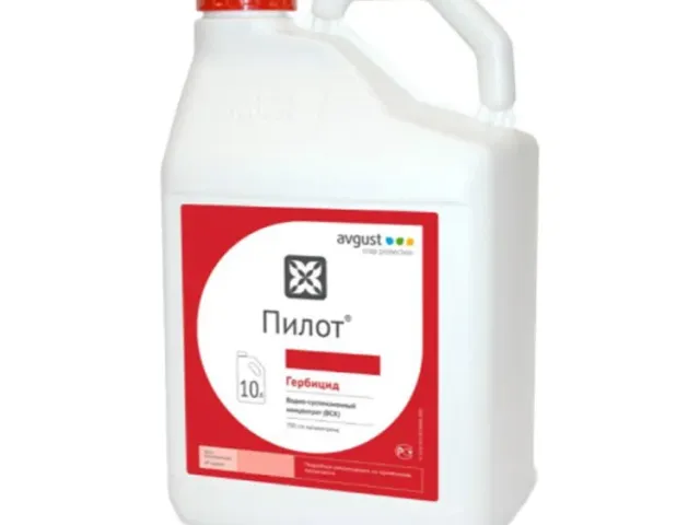 Пилот