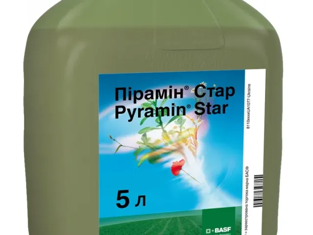 Пирамин Стар к.с.