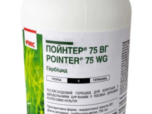 Пойнтер 75 ВГ