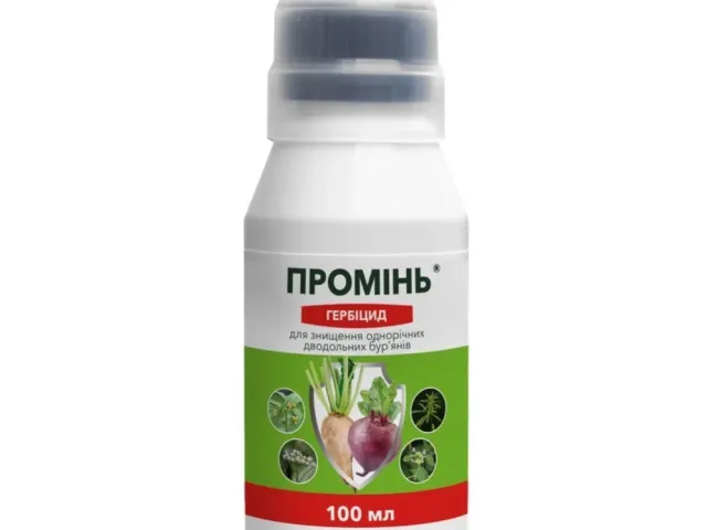 Луч