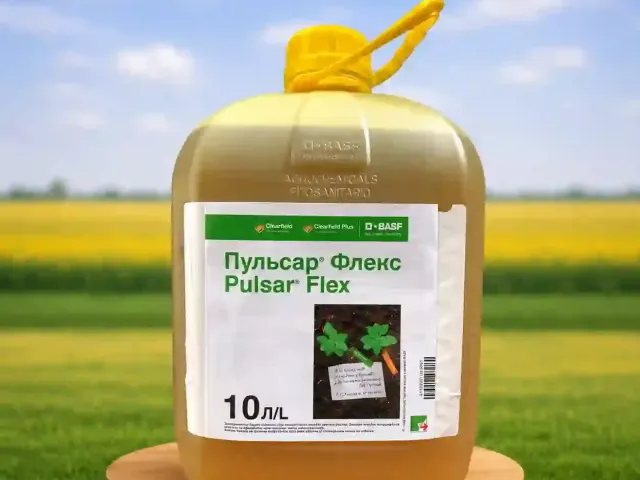 Пульсар Флекс