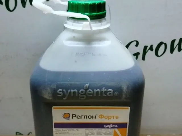 Райдон