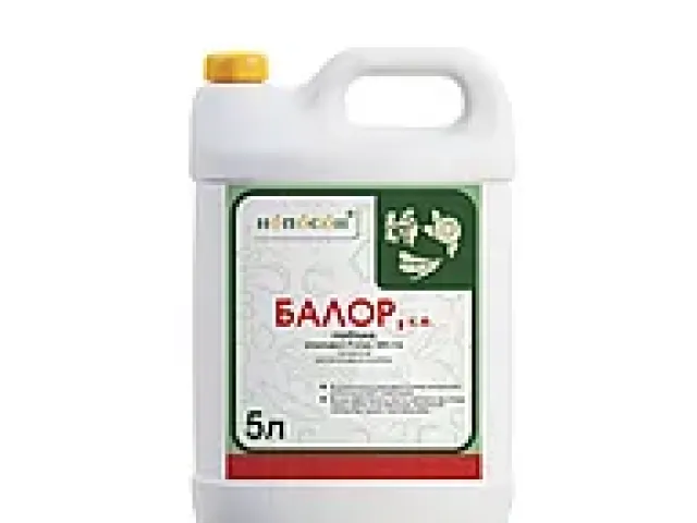 Річ, КЕ, (Хізалофоп-п-етил, 125 г/л)