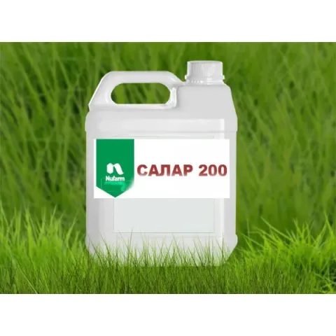 Канистра гербицида САЛАР 200 КЕ от Nufarm на фоне травы