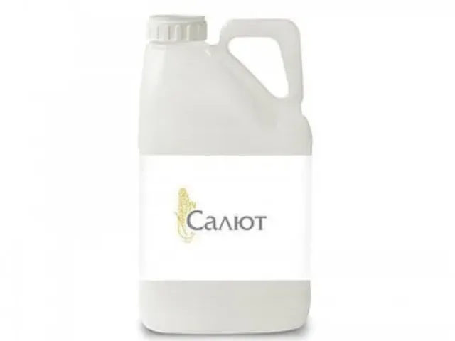 Салют 40