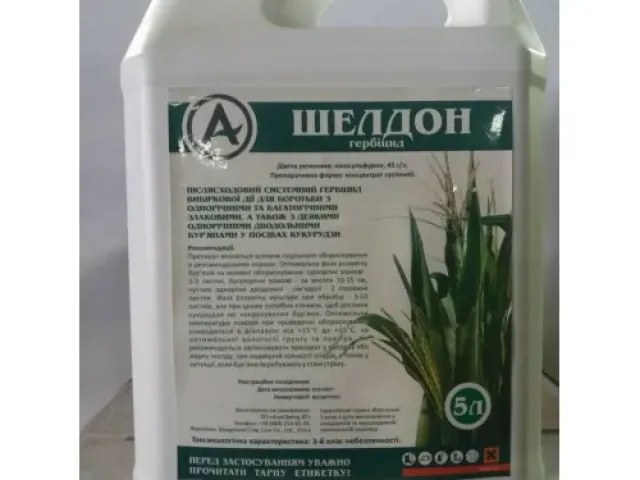 Шелдон, КС