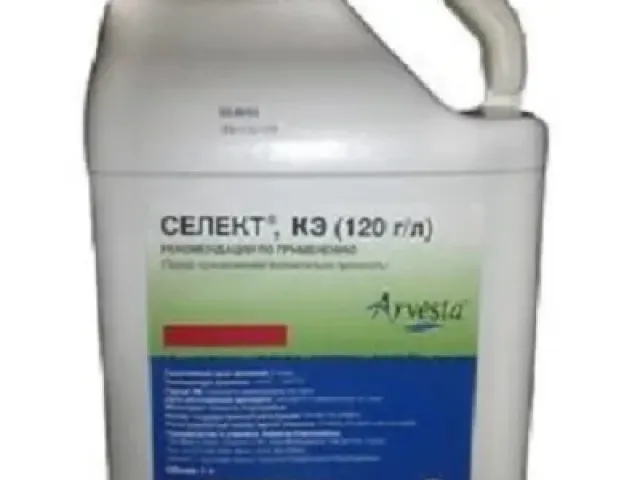 Селект