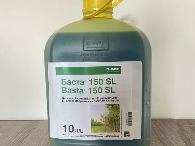 Шпага
