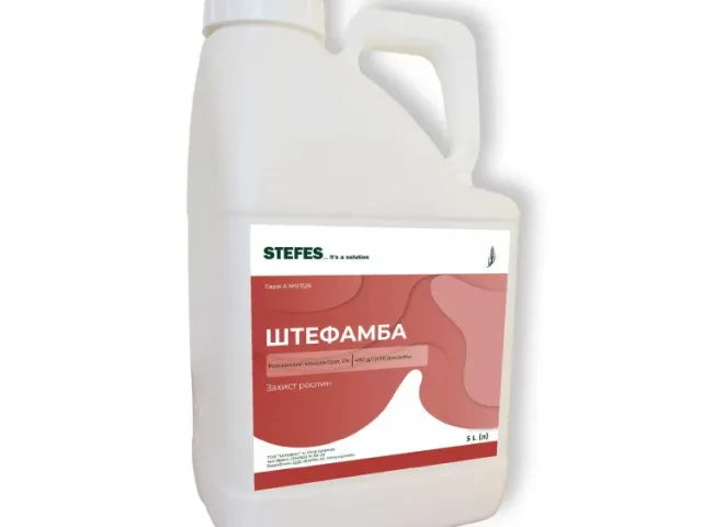 Shtefamba