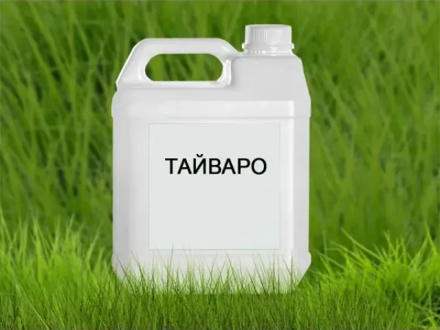 Тайваро
