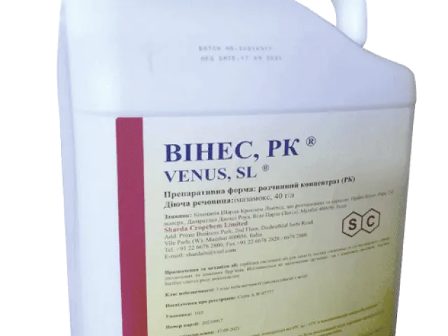 Винес, РК (Venus, SL)