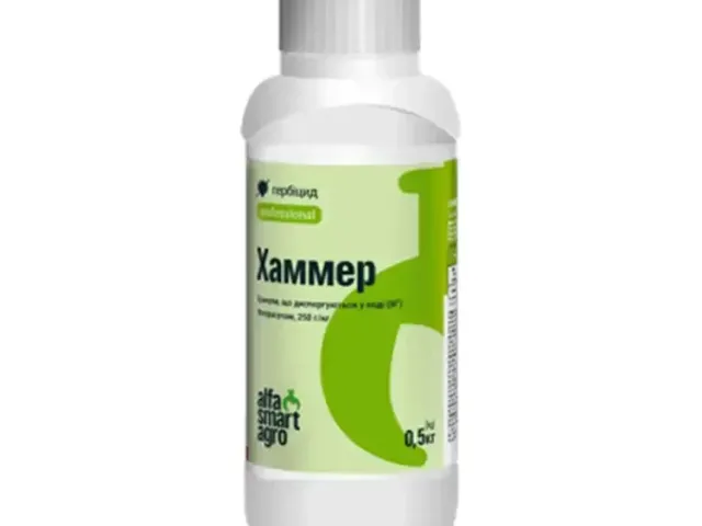 Хаммер