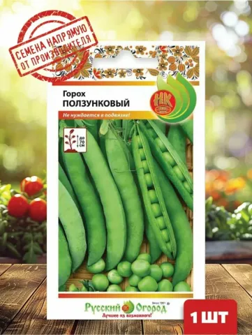 Пакет насіння гороху сорту Потукинский - БУРГОМІСТР
