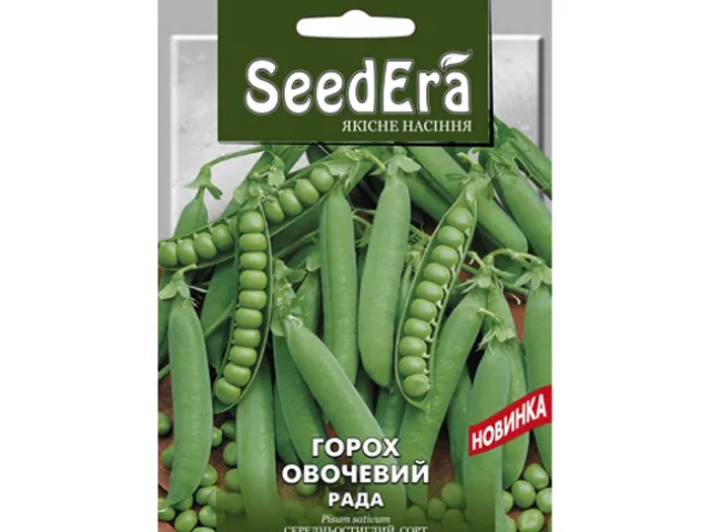 Рада