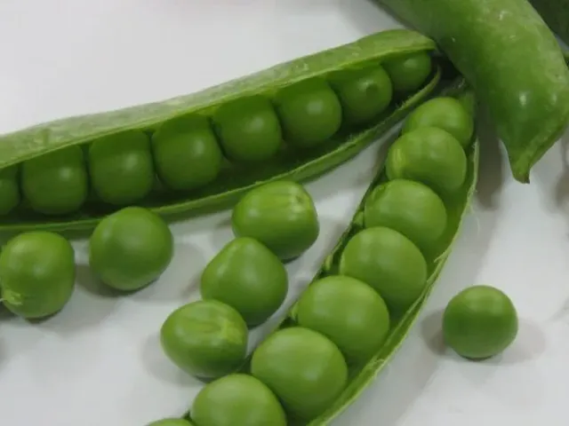 Серж