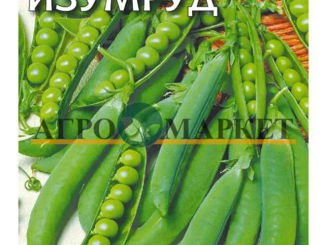 Сладкий Изумруд