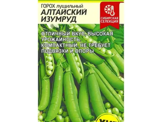 Алтайський Універсальний