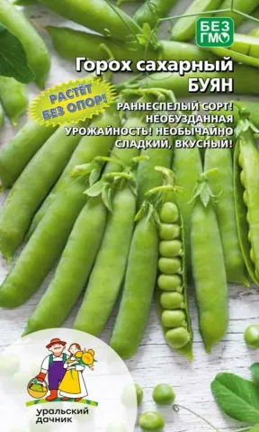 Seed packet of sugar pea BUYAN with pod illustration and manufacturer logo