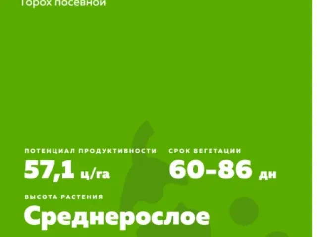 КРАСНОУФИМСКИЙ 20