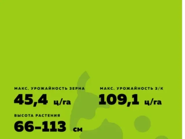 Світоч