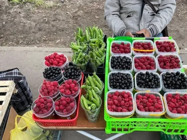 Тюменець