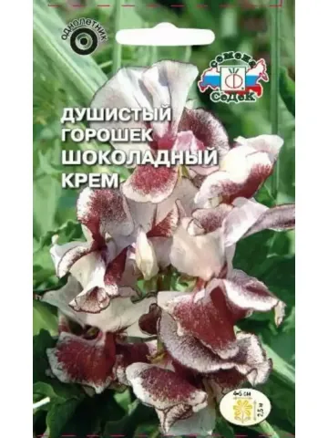Упаковка семян душистого горошка Шоколадный крем
