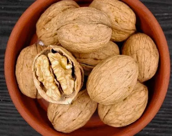 Walnuts in a ceramic bowl, one cracked open to show the kernel - Toporivsky / Toporivskyi