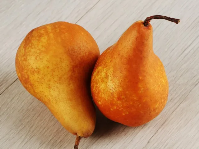 Вера