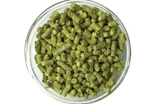 Green hop cones in a glass bowl - Hellertauer Magnum Bel