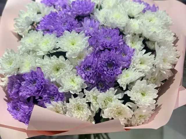 Созвездие