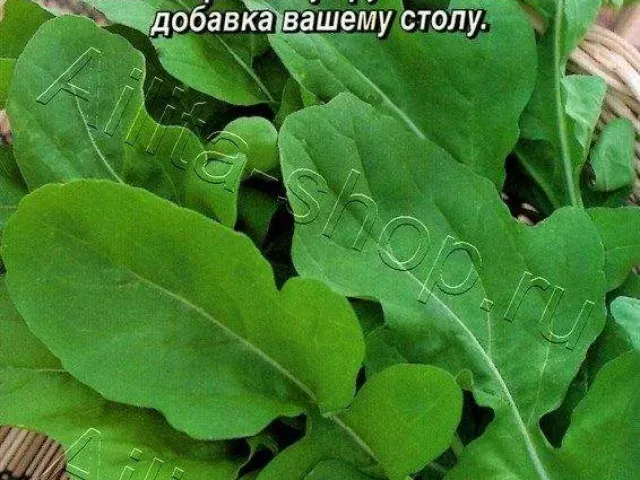 Диковина
