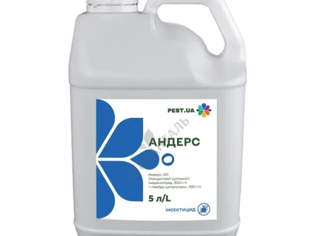 Андерс