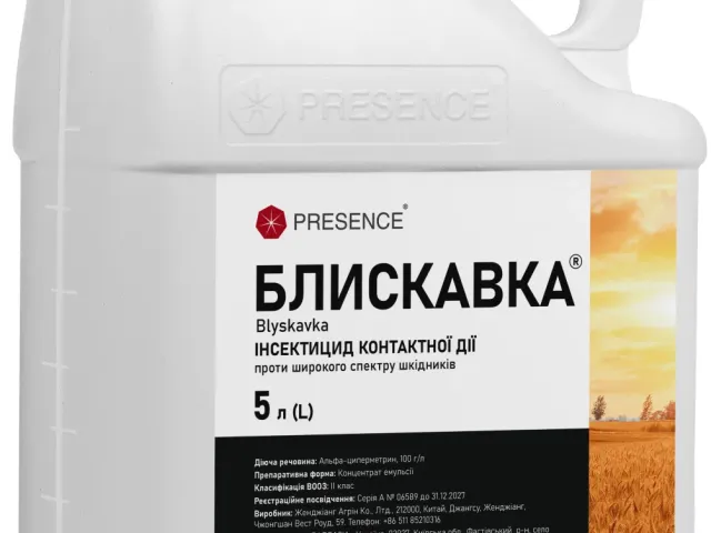Блискавка