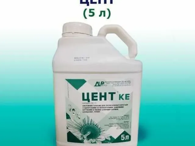 Цербер, КЕ