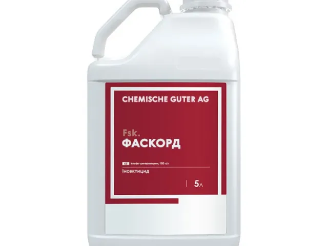 Фаскорд