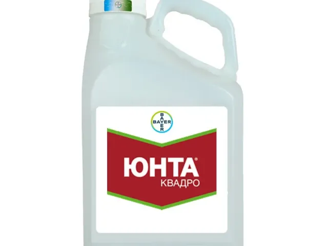 Юнта Квадро