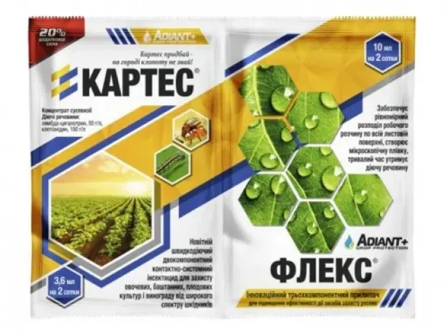 Kartes