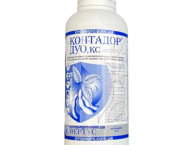 Контадор