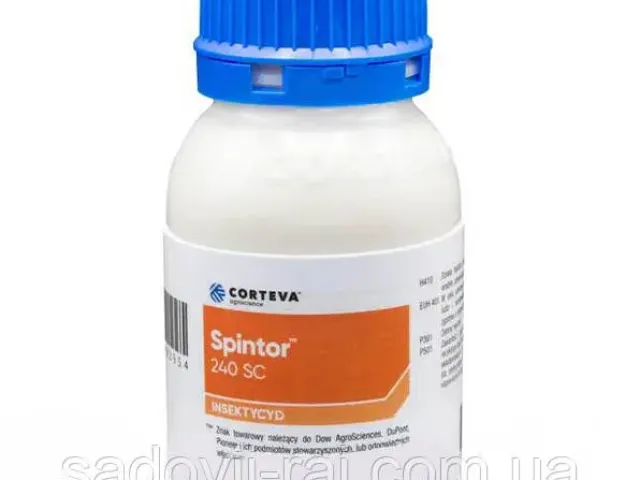 SPINTOR 240 SC