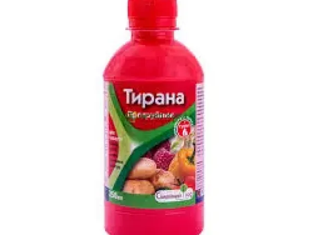 Тирана