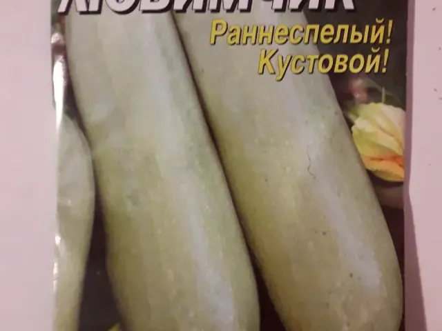 Любимчик