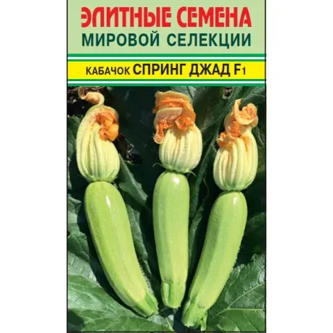 Семена кабачка Спринг Джад на упаковке с изображением плодов