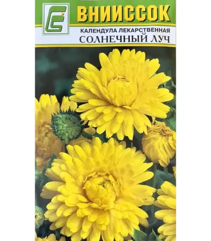 Семена календулы Солнечный Луч на упаковке
