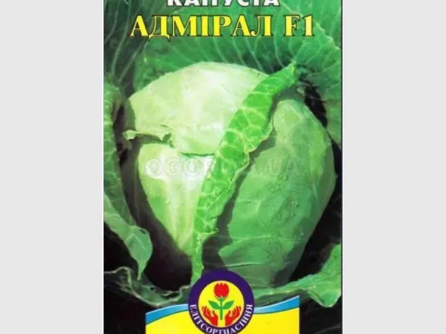 Admiral F1 (CL 807 F1)