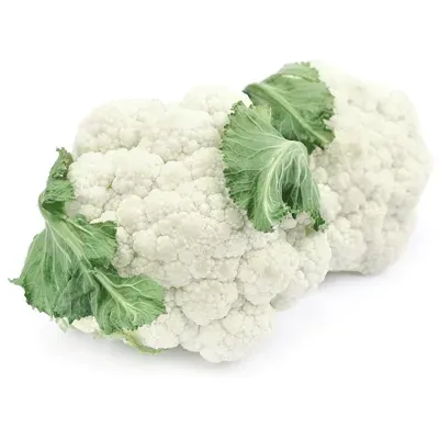 Fresh white cabbage on white background - Barbara