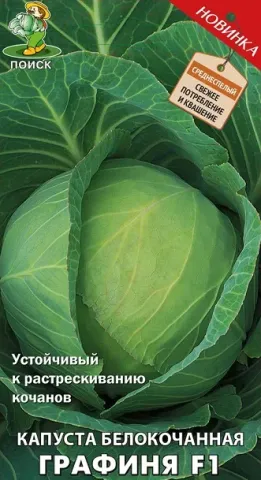 Семенной пакет капусты белокочанной Графиня F1